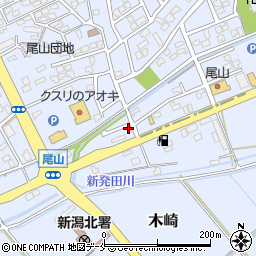 川崎生花店周辺の地図