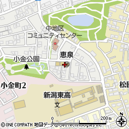 恵泉幼稚園周辺の地図