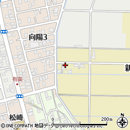 新潟県新潟市東区新川町186周辺の地図