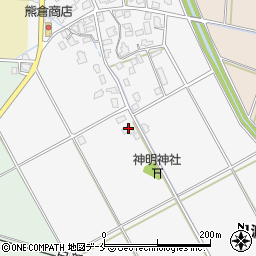新潟県新発田市日渡320周辺の地図