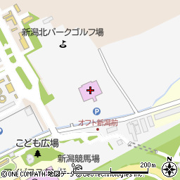 特別区競馬組合新潟場外発売所周辺の地図