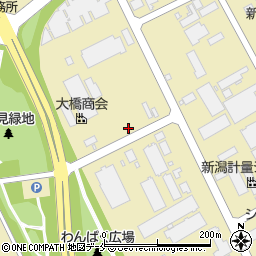 新井グループ運輸周辺の地図