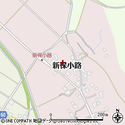 新潟県新発田市新保小路周辺の地図