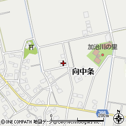 新潟県新発田市向中条2892周辺の地図