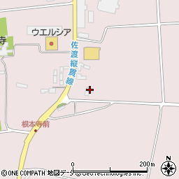 新潟県佐渡市新穂大野1193周辺の地図