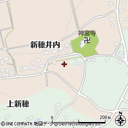 新潟県佐渡市新穂井内43周辺の地図