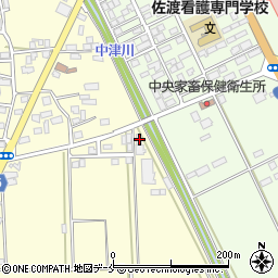 新潟県佐渡市中興123-1周辺の地図