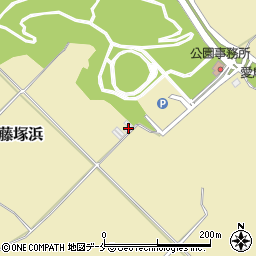 新潟県新発田市藤塚浜142-4周辺の地図