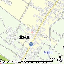 新潟県胎内市北成田207周辺の地図