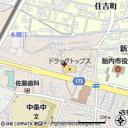 新潟県胎内市東本町24-43周辺の地図