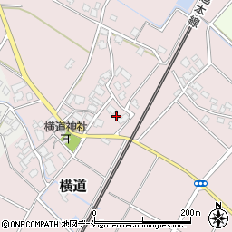 新潟県胎内市横道480周辺の地図