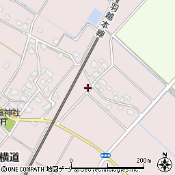 新潟県胎内市横道508-2周辺の地図