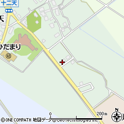 新潟県胎内市十二天20-12周辺の地図