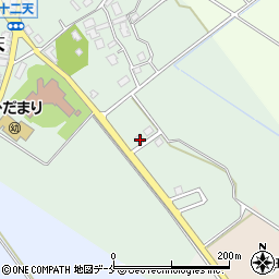 新潟県胎内市十二天20周辺の地図