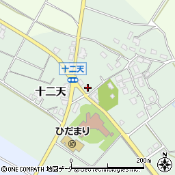 新潟県胎内市十二天219周辺の地図