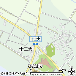 新潟県胎内市十二天207周辺の地図