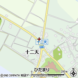 新潟県胎内市十二天206-1周辺の地図