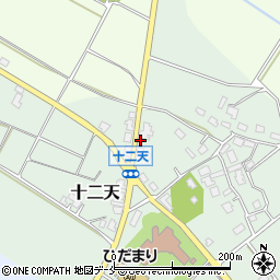 新潟県胎内市十二天208周辺の地図