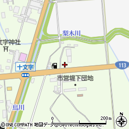 新野商店坂町周辺の地図