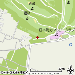 新潟県胎内市荒井浜282周辺の地図