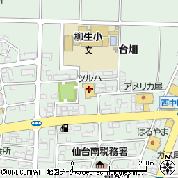 ツルハドラッグ仙台柳生店周辺の地図