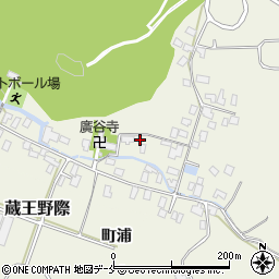 山形県山形市蔵王成沢107周辺の地図