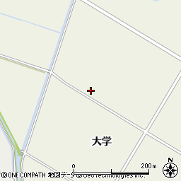 宮城県仙台市若林区荒浜大学周辺の地図