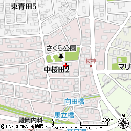 小規模多機能型居宅介護事業所ソーレホーム中桜田周辺の地図
