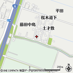 宮城県仙台市若林区荒井藤田中島2周辺の地図