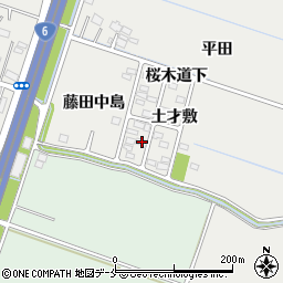 宮城県仙台市若林区荒井藤田中島34周辺の地図