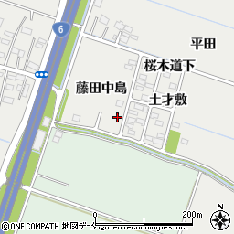 宮城県仙台市若林区荒井藤田中島3周辺の地図