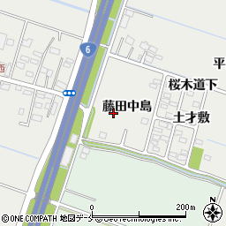宮城県仙台市若林区荒井藤田中島周辺の地図
