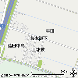 宮城県仙台市若林区荒井桜木道下周辺の地図