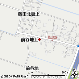 宮城県仙台市若林区荒井宅地11周辺の地図