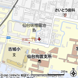 宮城県仙台市若林区南小泉3丁目21-37周辺の地図