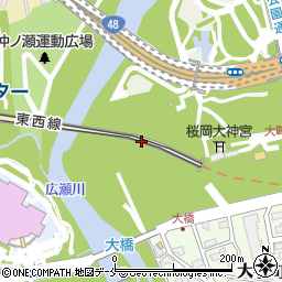 宮城県仙台市青葉区桜ケ岡公園2周辺の地図