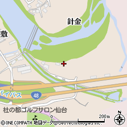 宮城県仙台市青葉区郷六針金29周辺の地図
