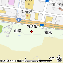 宮城県仙台市青葉区下愛子山岸周辺の地図
