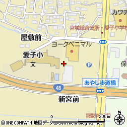 宮城県仙台市青葉区上愛子新宮前周辺の地図