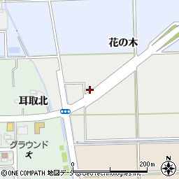 宮城県多賀城市東田中花の木周辺の地図