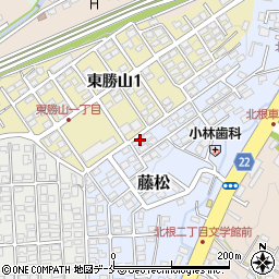 宮城県仙台市青葉区藤松20-14周辺の地図