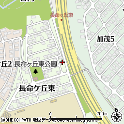 宮城県仙台市泉区長命ケ丘東11-2周辺の地図