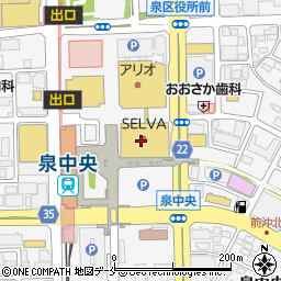 日本一　セルバ店周辺の地図