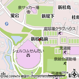 宮城県仙台市泉区野村新桂島前周辺の地図