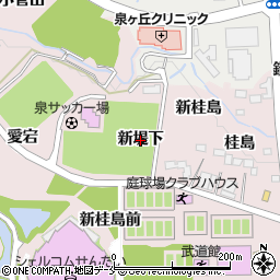 宮城県仙台市泉区野村（新堤下）周辺の地図