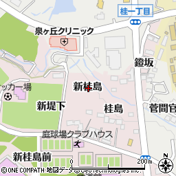 宮城県仙台市泉区野村新桂島周辺の地図