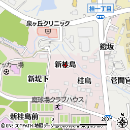 宮城県仙台市泉区野村（新桂島）周辺の地図
