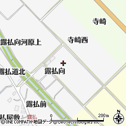 宮城県仙台市泉区西田中露払向周辺の地図