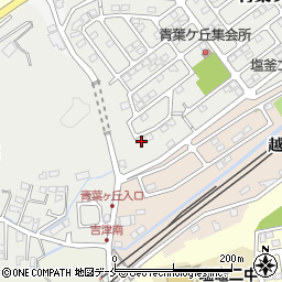 宮城県塩竈市青葉ケ丘1-21周辺の地図