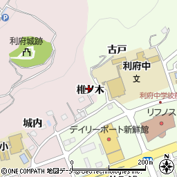 宮城県宮城郡利府町利府椎ノ木12周辺の地図